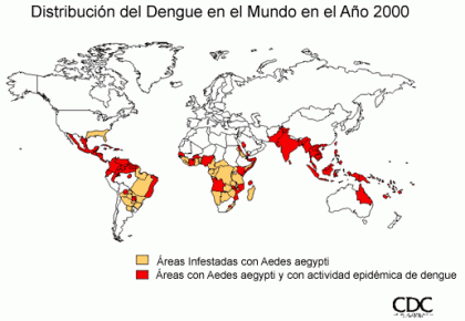 dengue